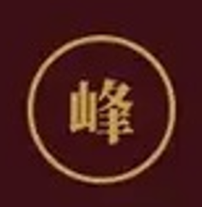 Fengsheng International