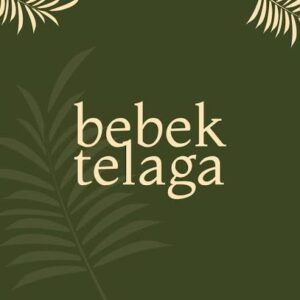 Bebek Telaga